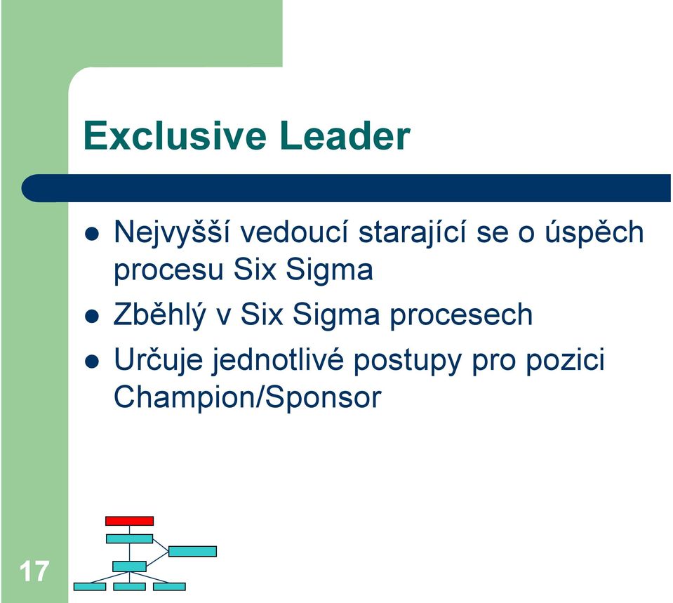 Zběhlý v Six Sigma procesech Určuje