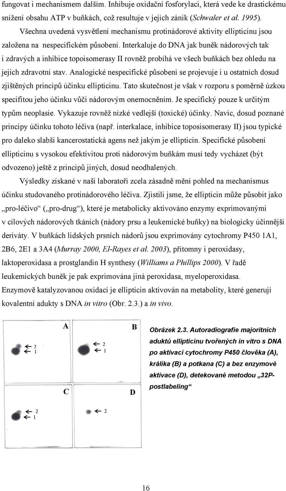 Interkaluje do DA jak buněk nádorových tak i zdravých a inhibice topoisomerasy II rovněž probíhá ve všech buňkách bez ohledu na jejich zdravotní stav.