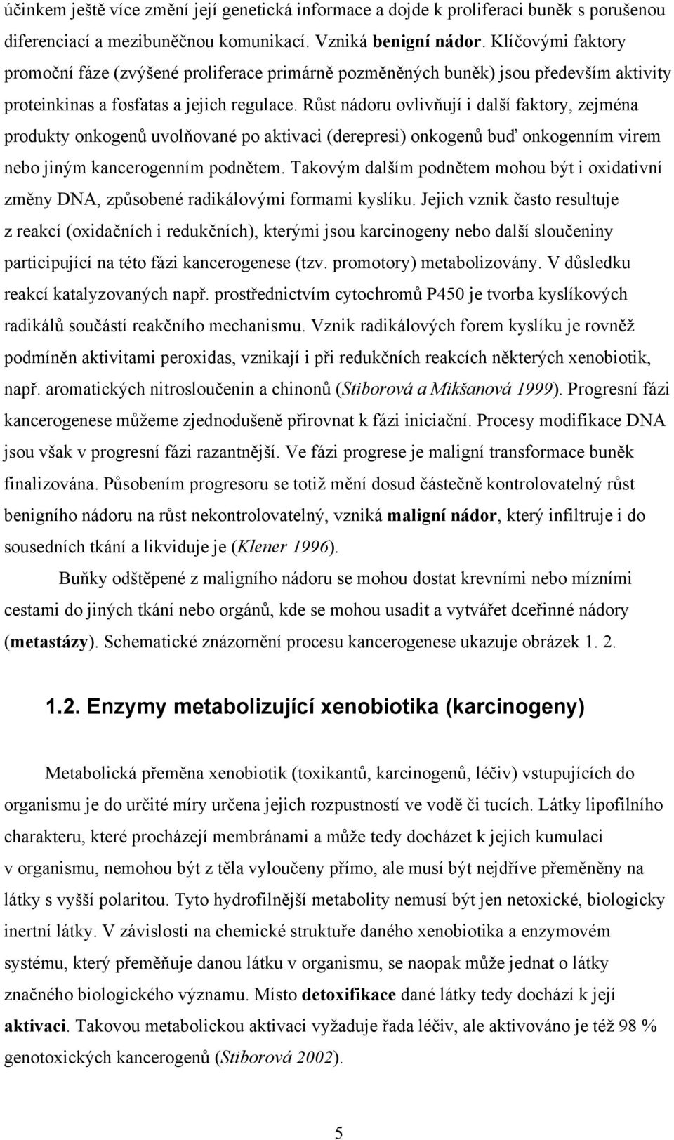 Růst nádoru ovlivňují i další faktory, zejména produkty onkogenů uvolňované po aktivaci (derepresi) onkogenů buď onkogenním virem nebo jiným kancerogenním podnětem.