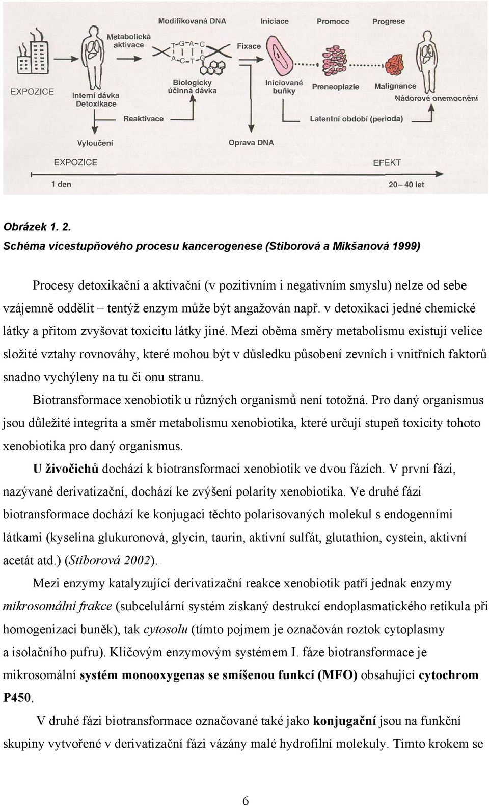 angažován např. v detoxikaci jedné chemické látky a přitom zvyšovat toxicitu látky jiné.