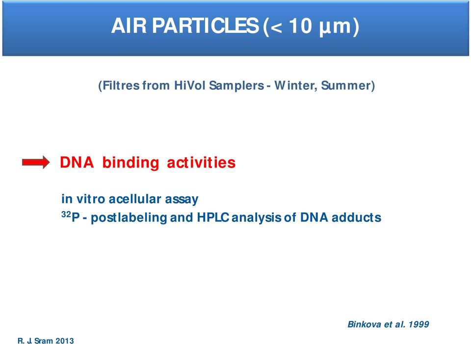 in vitroacellularassay 32 P -postlabelingand HPLC