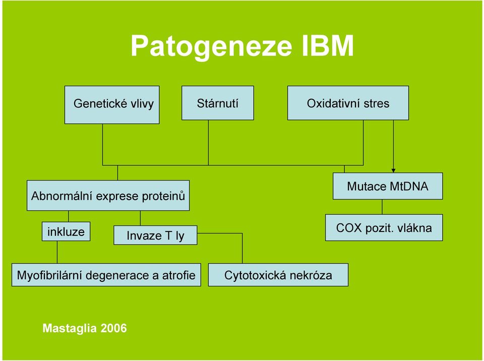 inkluze Invaze T ly COX pozit.