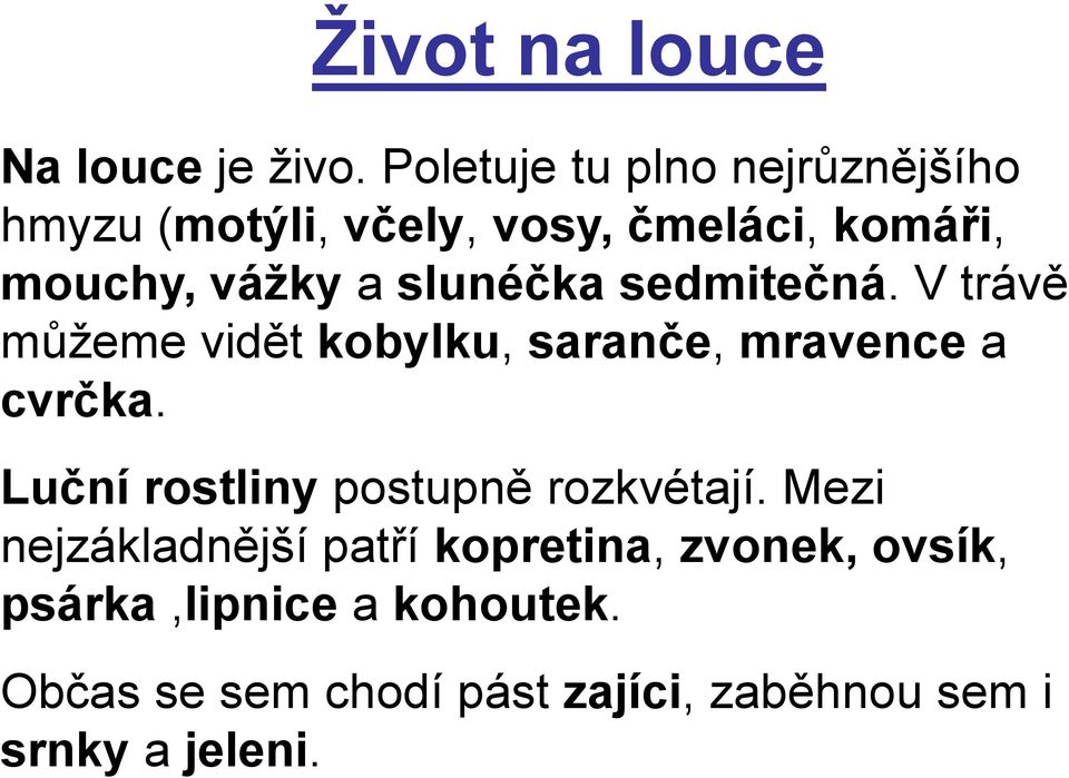 slunéčka sedmitečná. V trávě můžeme vidět kobylku, saranče, mravence a cvrčka.