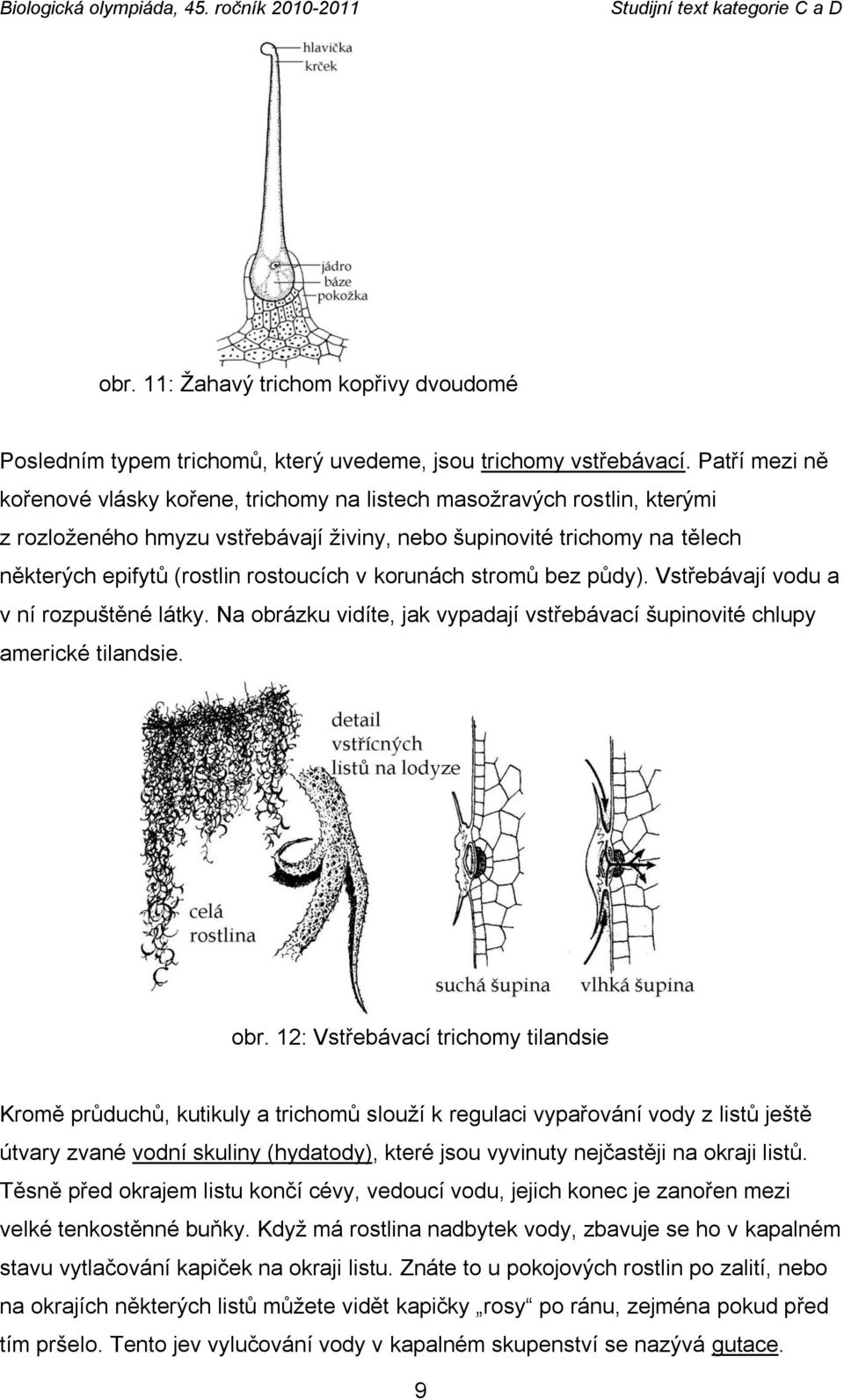 v korunách stromů bez půdy). Vstřebávají vodu a v ní rozpuštěné látky. Na obrá