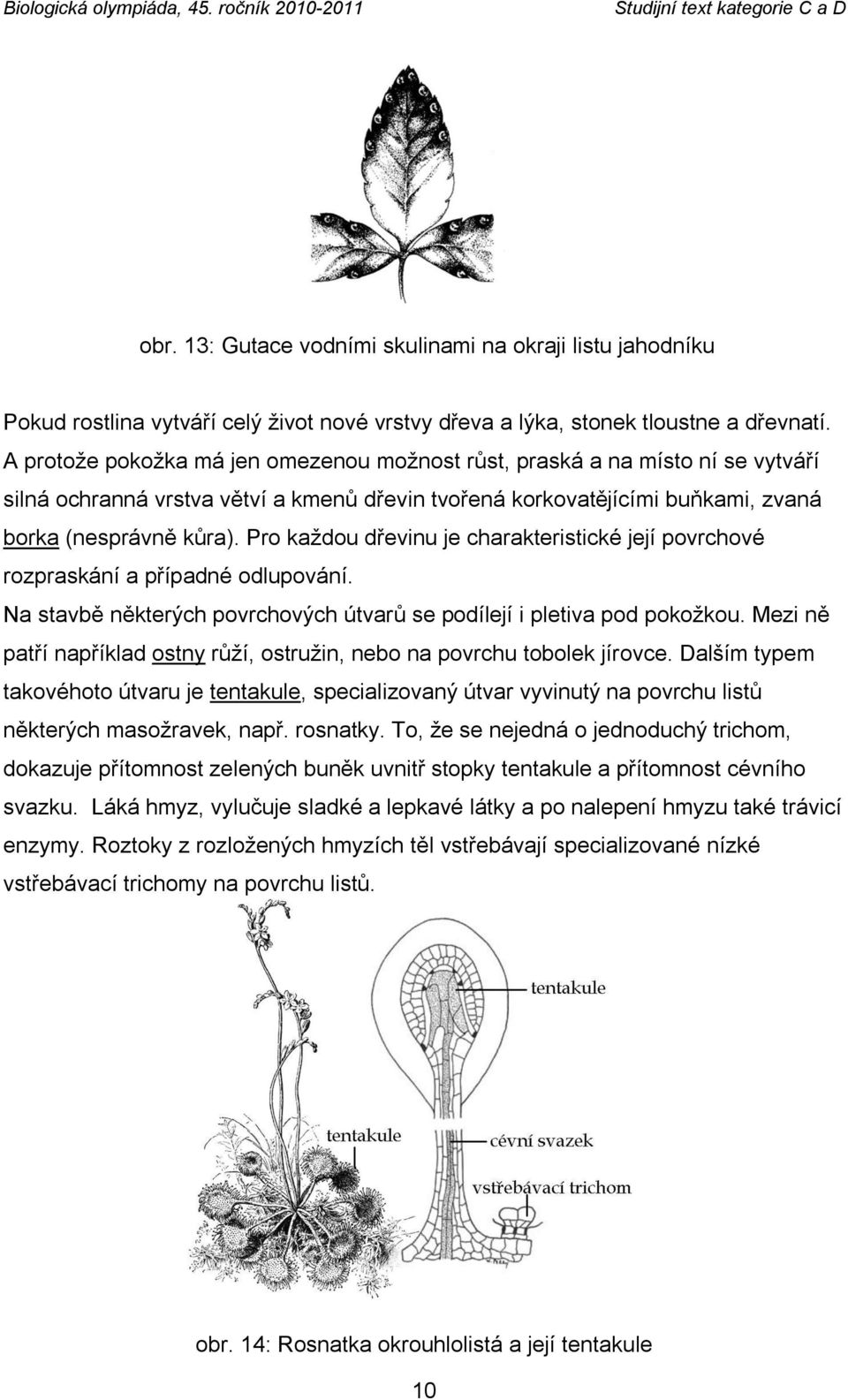 Pro kaţdou dřevinu je charakteristické její povrchové rozpraskání a případné odlupování. Na stavbě některých povrchových útvarů se podílejí i pletiva pod pokoţkou.