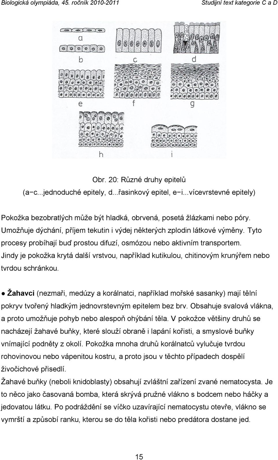 Jindy je pokoţka krytá další vrstvou, například kutikulou, chitinovým krunýřem nebo tvrdou schránkou.