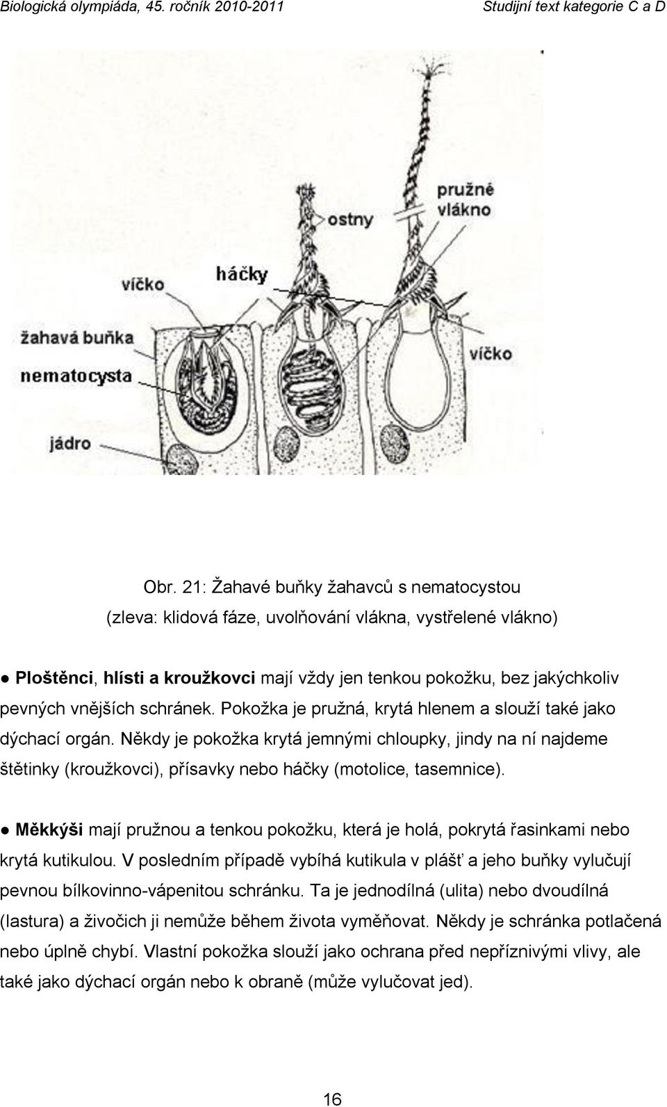 Někdy je pokoţka krytá jemnými chloupky, jindy na ní najdeme štětinky (krouţkovci), přísavky nebo háčky (motolice, tasemnice).