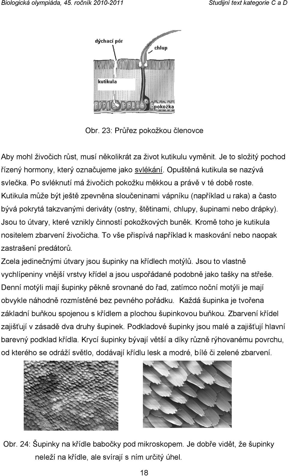 Kutikula můţe být ještě zpevněna sloučeninami vápníku (například u raka) a často bývá pokrytá takzvanými deriváty (ostny, štětinami, chlupy, šupinami nebo drápky).