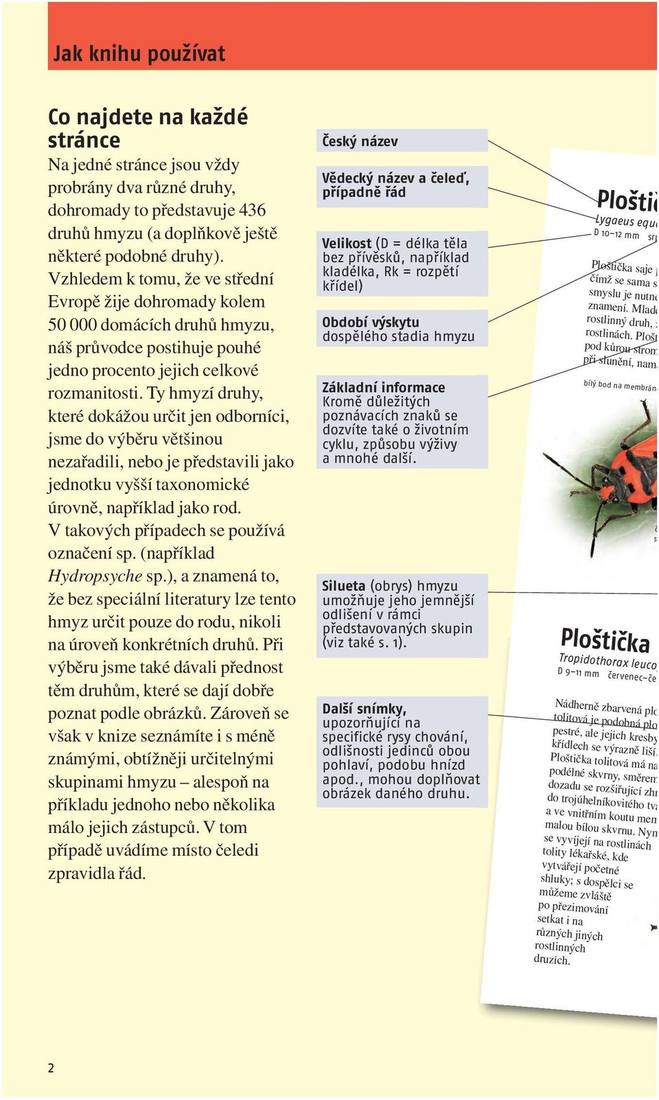 Ty hmyzí druhy, které dokážou určit jen odborníci, jsme do výběru většinou nezařadili, nebo je představili jako jednotku vyšší taxonomické úrovně, například jako rod.