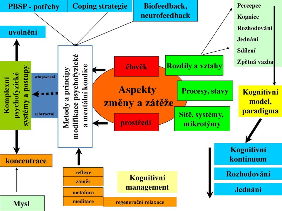 Procesy, stavy Sítě, systémy, mikrotýmy Percepce Kognice Rozhodování Jednání Sdílení Zpětná vazba Kognitivní model, paradigma