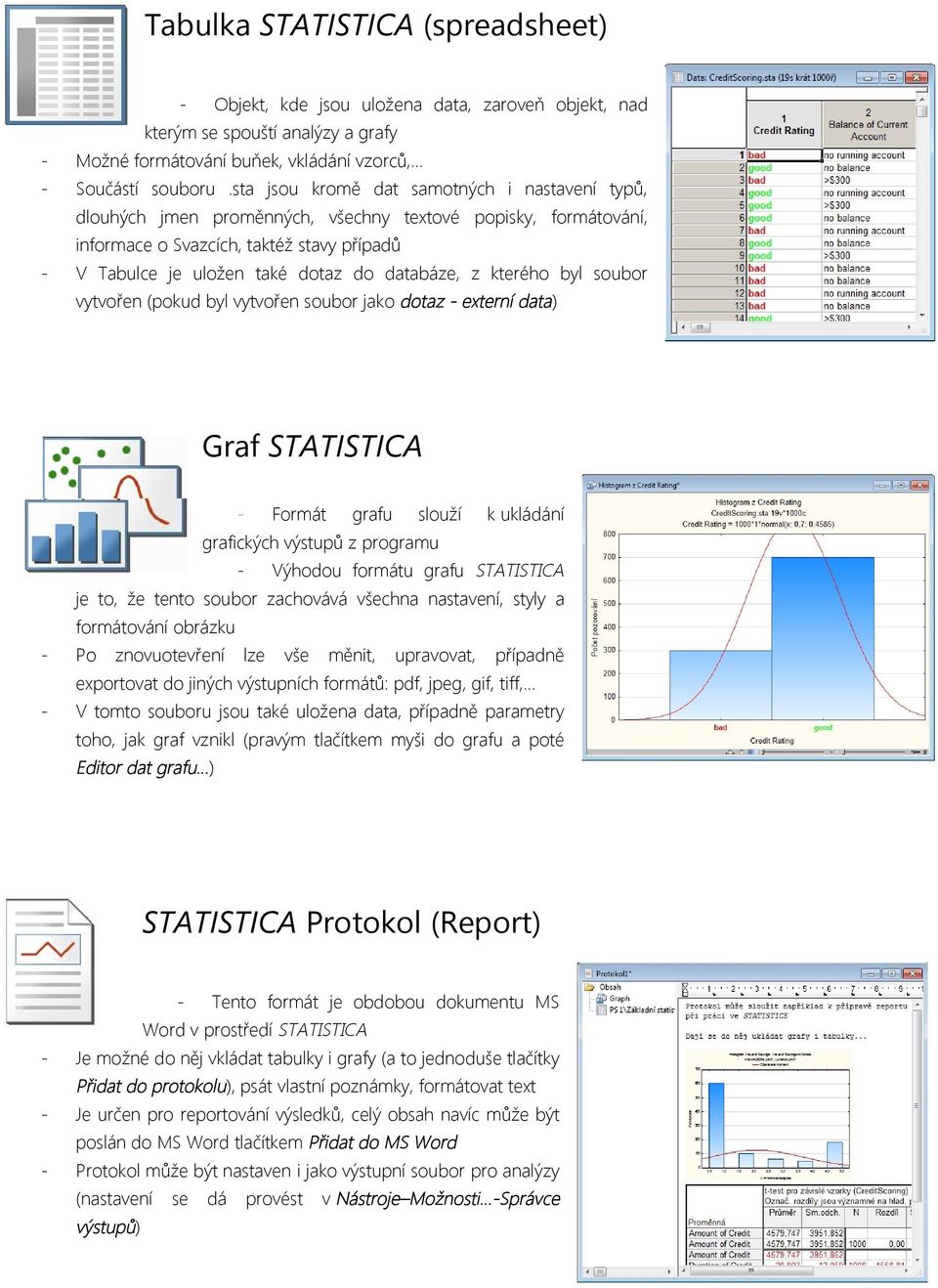 z kterého byl soubor vytvořen (pokud byl vytvořen soubor jako dotaz - externí data) Graf STATISTICA - Formát grafu slouží k ukládání grafických výstupů z programu - Výhodou formátu grafu STATISTICA