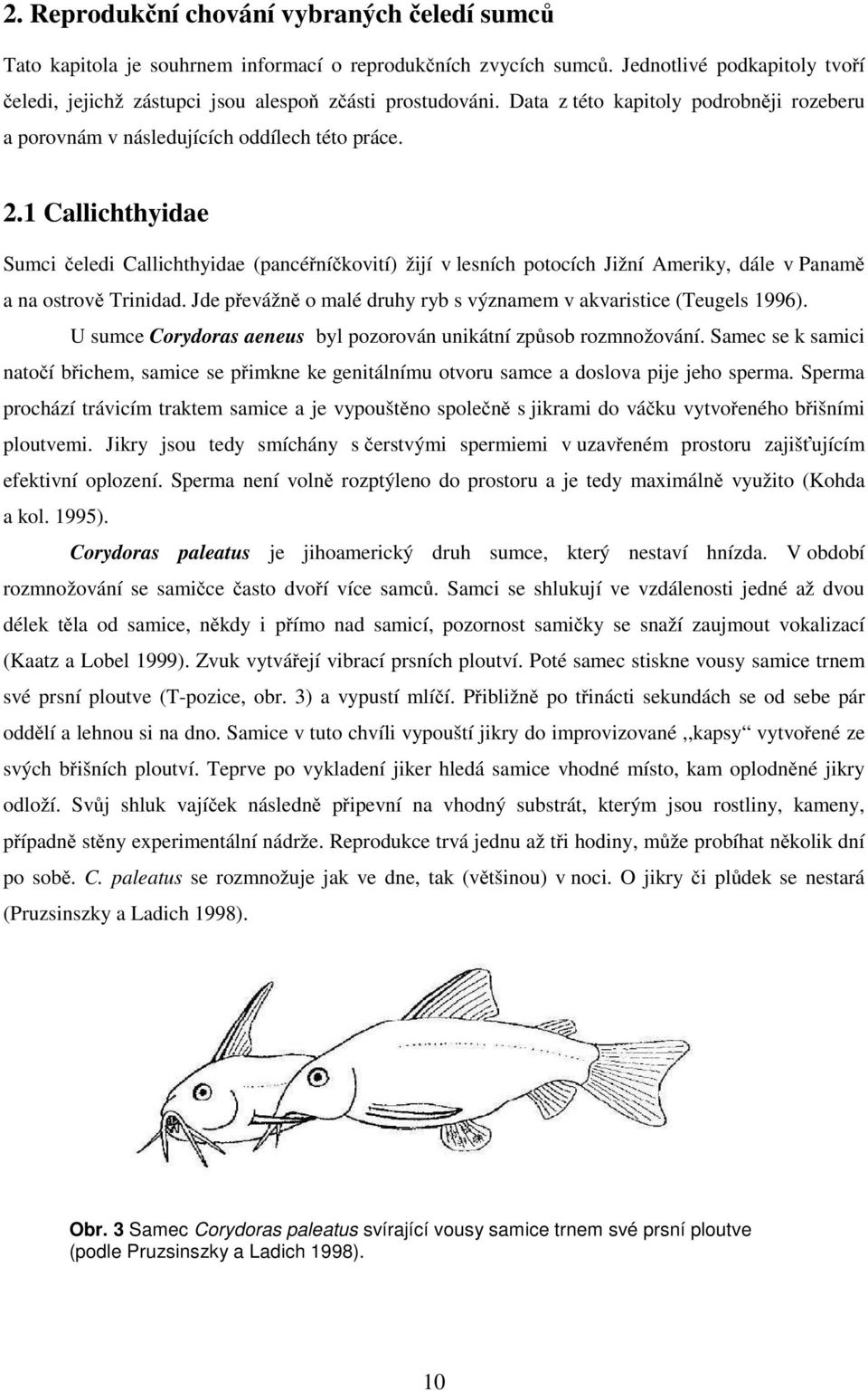 1 Callichthyidae Sumci čeledi Callichthyidae (pancéřníčkovití) žijí v lesních potocích Jižní Ameriky, dále v Panamě a na ostrově Trinidad.