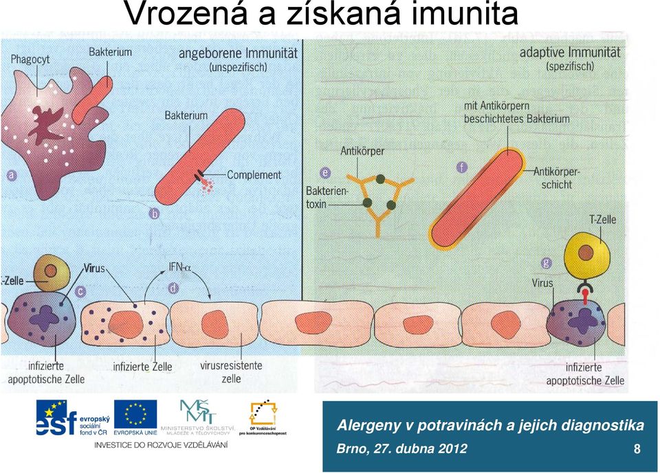 imunita 8