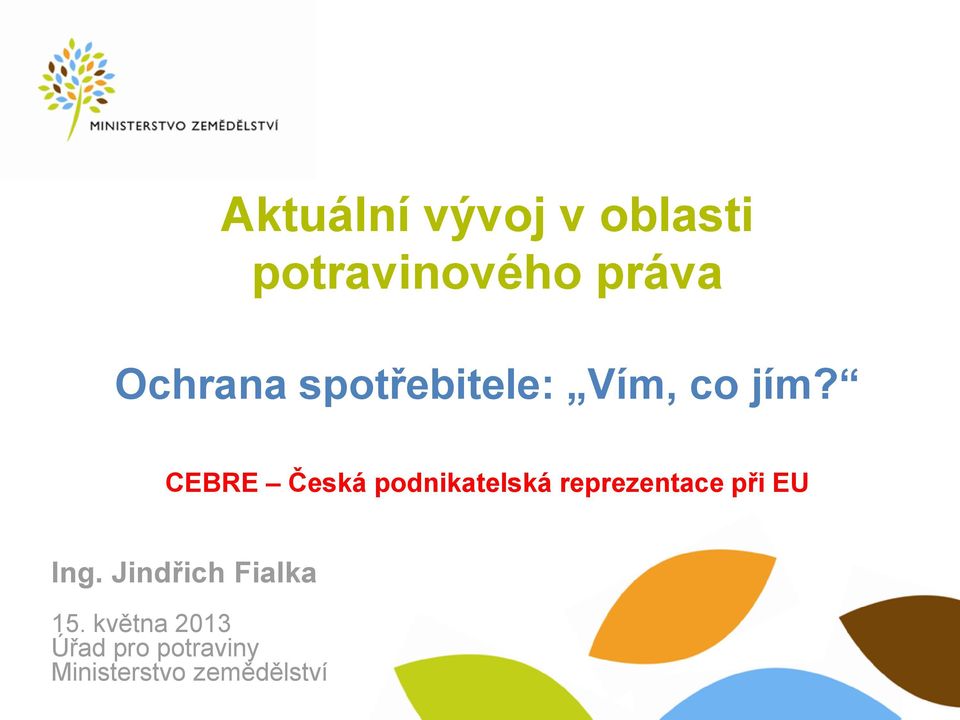 CEBRE Česká podnikatelská reprezentace při EU Ing.