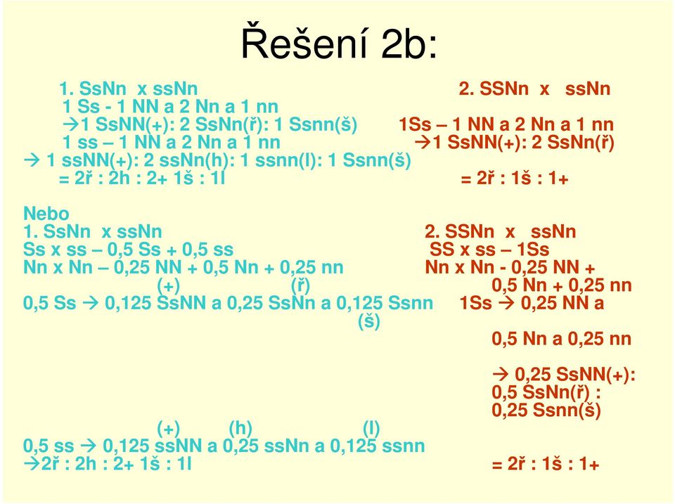 ssnn(h): 1 ssnn(l): 1 Ssnn(š) = 2ř : 2h : 2+ 1š : 1l = 2ř : 1š : 1+ Nebo 1. SsNn x ssnn 2.