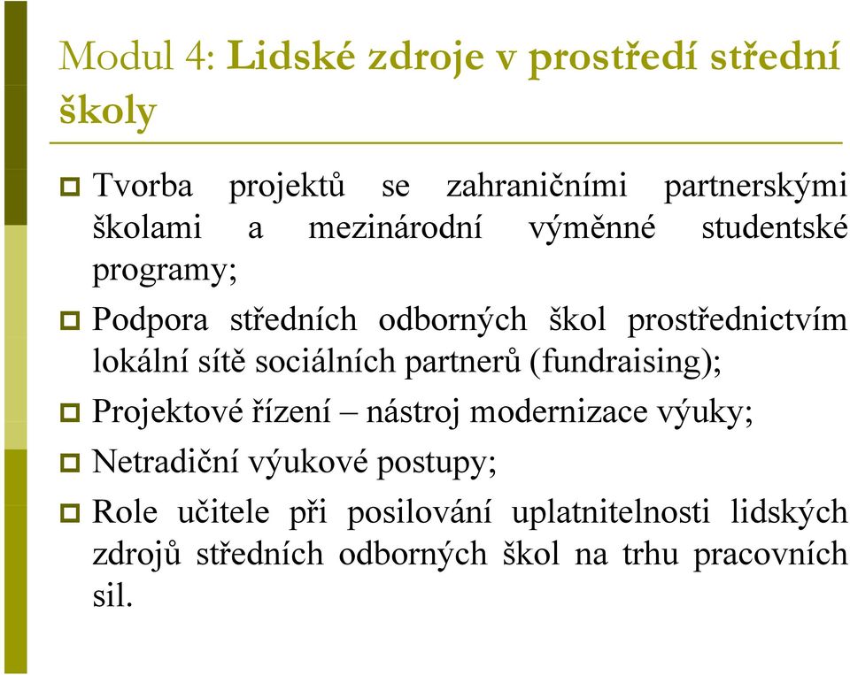 sociálních partnerů (fundraising); Projektové řízení nástroj modernizace výuky; Netradiční výukové postupy;