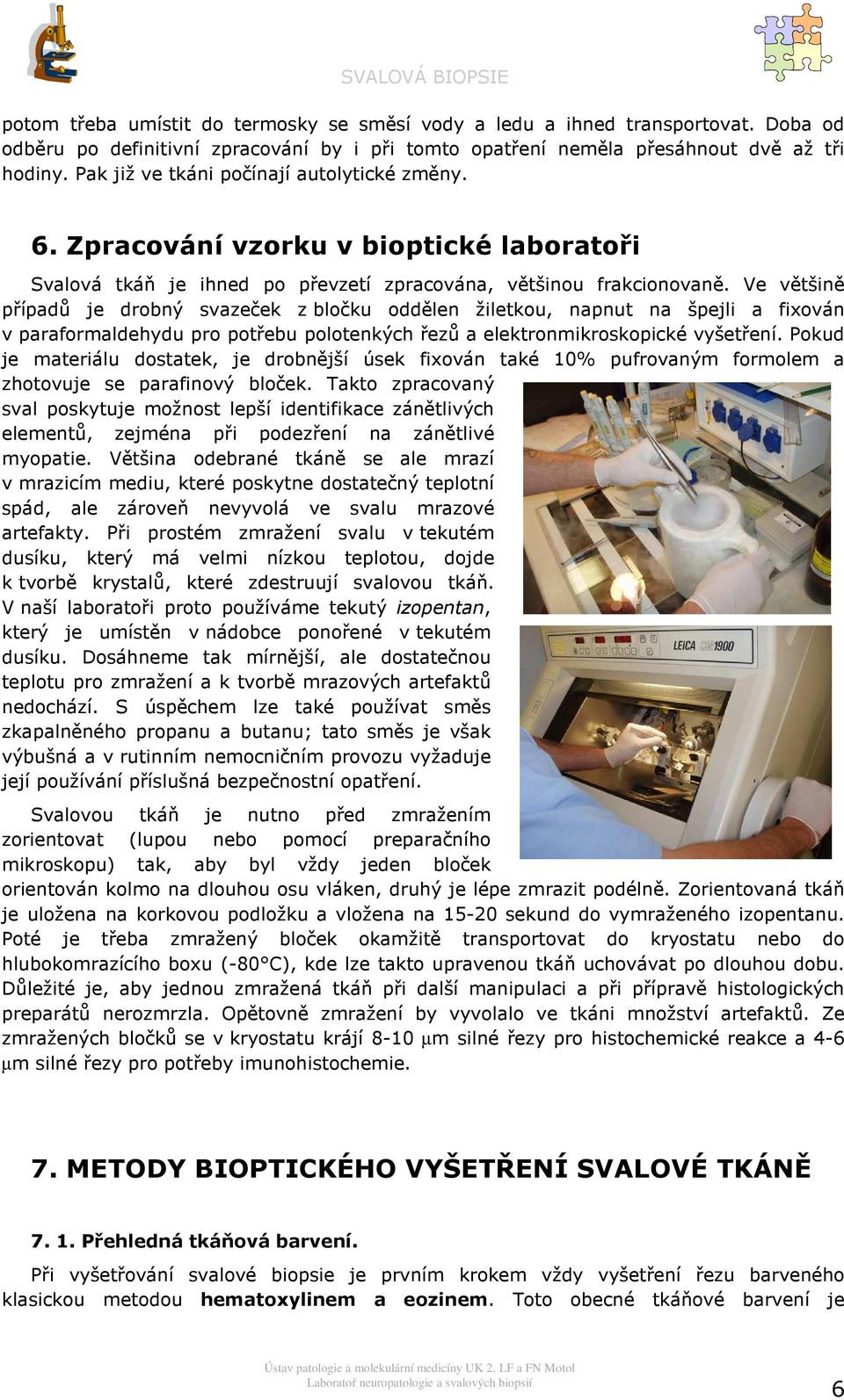 Ve většině případů je drbný svazeček z blčku ddělen žiletku, napnut na špejli a fixván v parafrmaldehydu pr ptřebu pltenkých řezů a elektrnmikrskpické vyšetření.