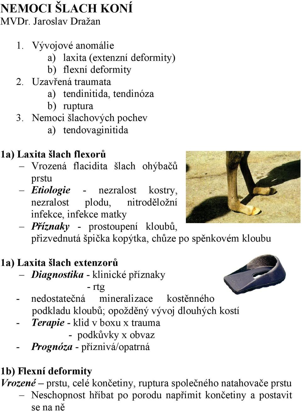 - prostoupení kloubů, přizvednutá špička kopýtka, chůze po spěnkovém kloubu 1a) Laxita šlach extenzorů Diagnostika - klinické příznaky - rtg - nedostatečná mineralizace kostěnného podkladu kloubů;