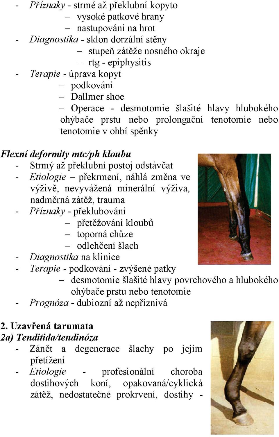 Etiologie překrmení, náhlá změna ve výživě, nevyvážená minerální výživa, nadměrná zátěž, trauma - Příznaky - překlubování přetěžování kloubů toporná chůze odlehčení šlach - Diagnostika na klinice -