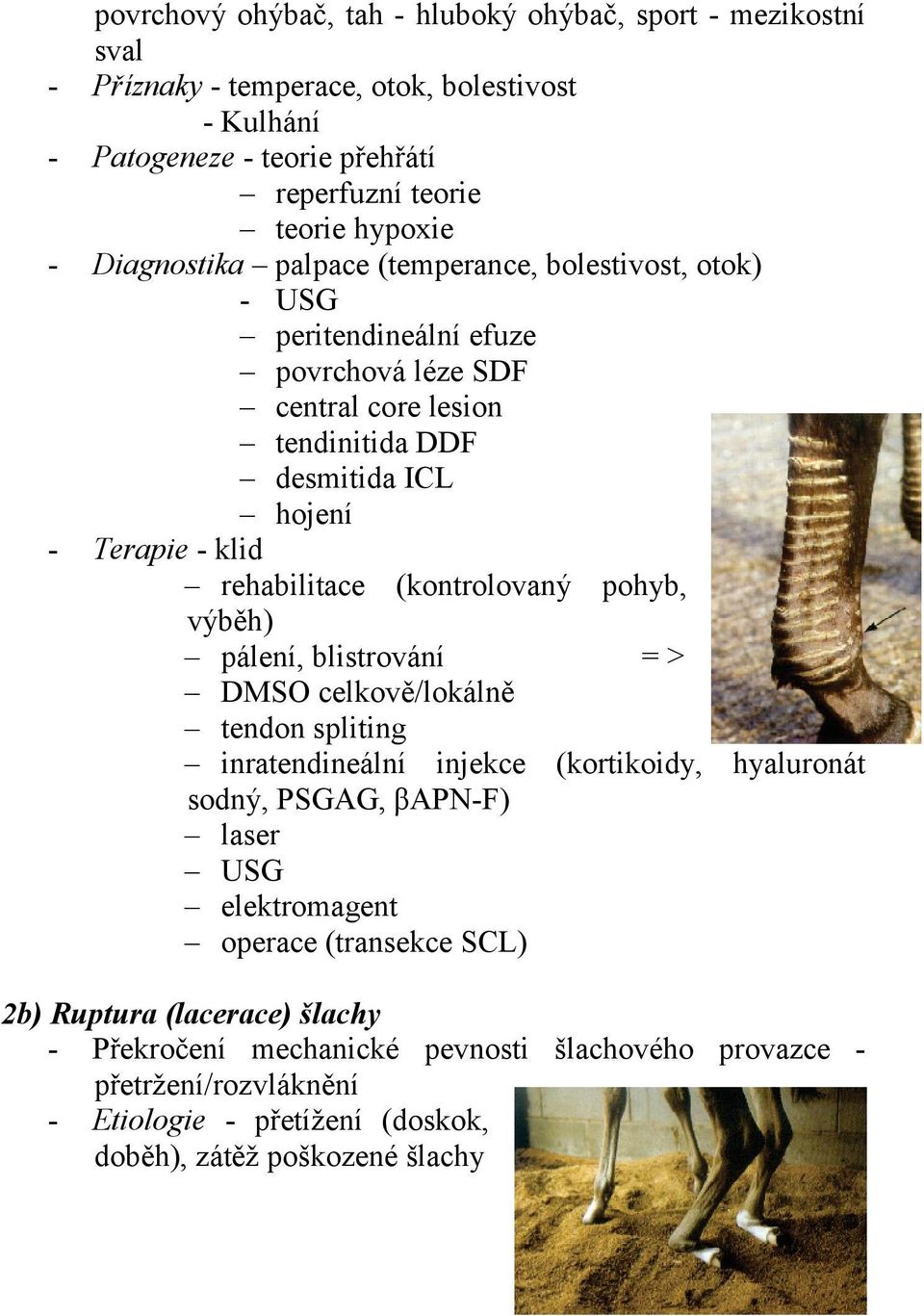 (kontrolovaný pohyb, výběh) pálení, blistrování = > DMSO celkově/lokálně tendon spliting inratendineální injekce (kortikoidy, hyaluronát sodný, PSGAG, βapn-f) laser USG elektromagent