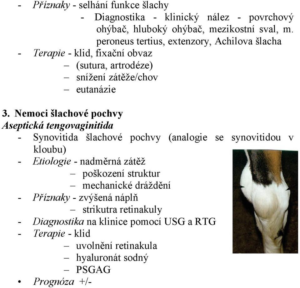 Nemoci šlachové pochvy Aseptická tengovaginitida - Synovitida šlachové pochvy (analogie se synovitidou v kloubu) - Etiologie - nadměrná zátěž