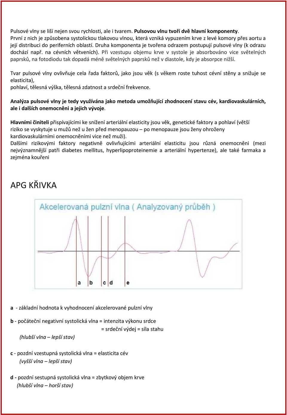 Druha komponenta je tvořena odrazem postupují pulsové vlny (k odrazu dochází např. na cévních větveních).