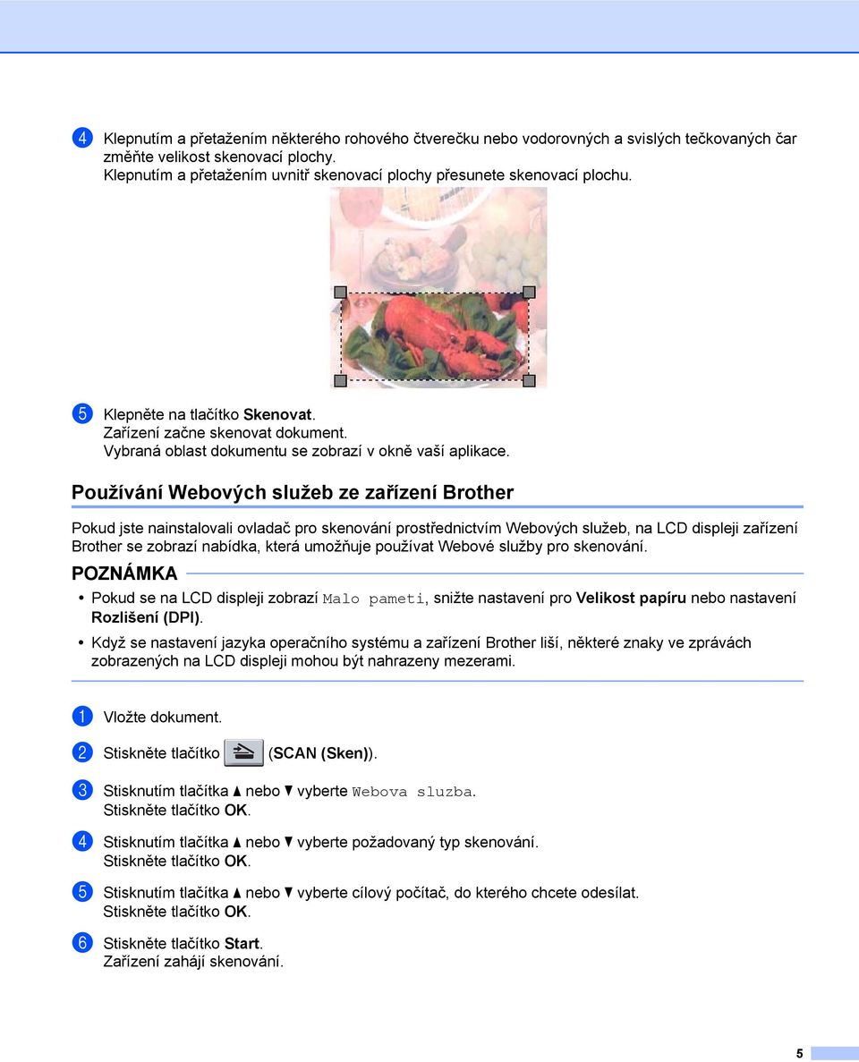 Používání Webových služeb ze zařízení Brother Pokud jste nainstalovali ovladač pro skenování prostřednictvím Webových služeb, na LCD displeji zařízení Brother se zobrazí nabídka, která umožňuje
