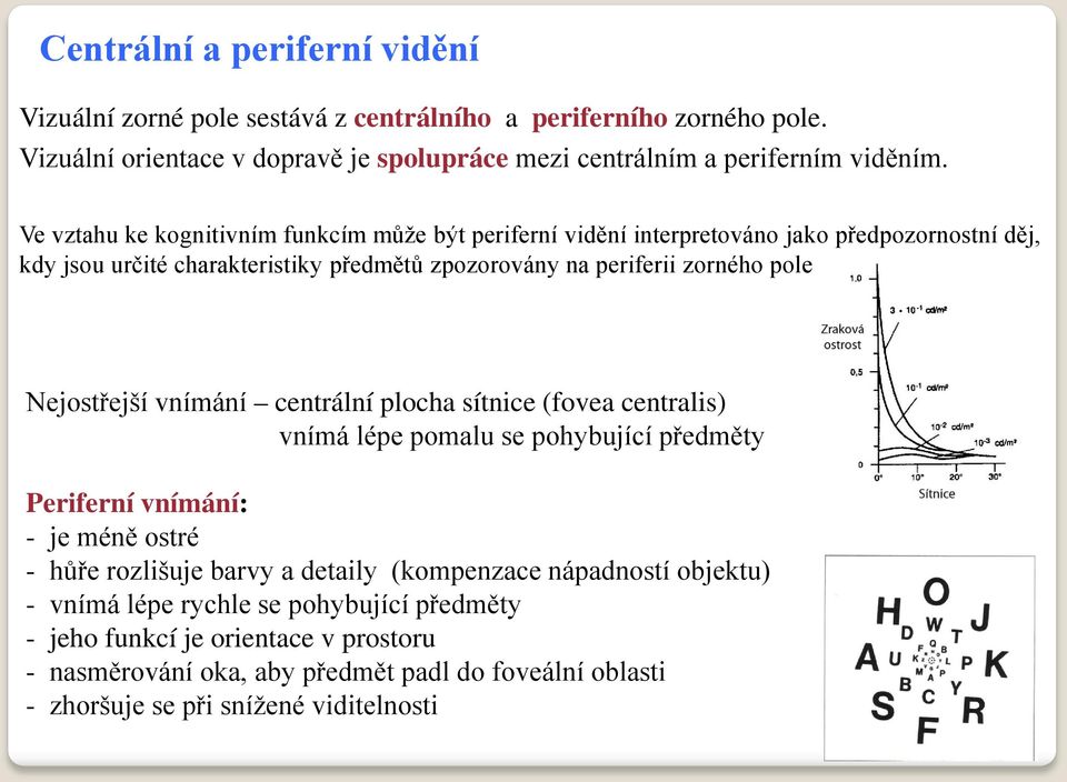 Nejostřejší vnímání centrální plocha sítnice (fovea centralis) vnímá lépe pomalu se pohybující předměty Periferní vnímání: - je méně ostré - hůře rozlišuje barvy a detaily (kompenzace