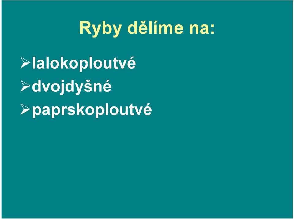 lalokoploutvé