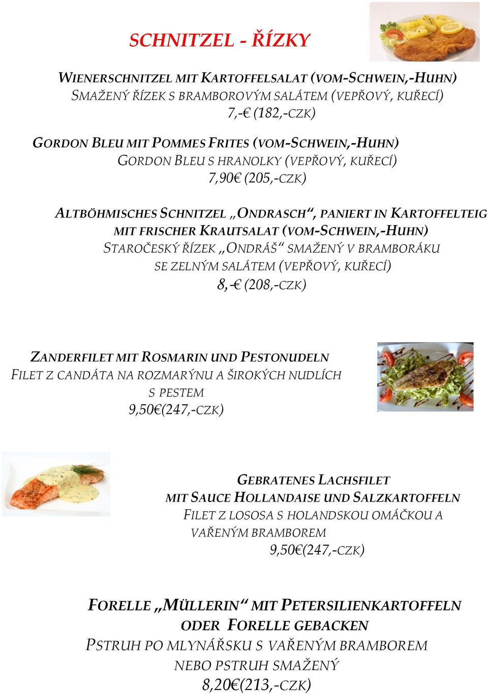 SE ZELNÝM SALÁTEM (VEPŘOVÝ, KUŘECÍ) 8,- (208,-CZK) ZANDERFILET MIT ROSMARIN UND PESTONUDELN FILET Z CANDÁTA NA ROZMARÝNU A ŠIROKÝCH NUDLÍCH S PESTEM GEBRATENES LACHSFILET MIT SAUCE HOLLANDAISE UND