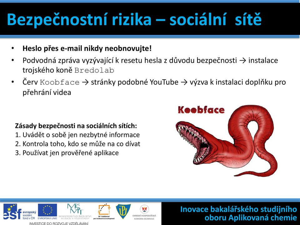 Koobface stránky podobné YouTube výzva k instalaci doplňku pro přehrání videa Zásady bezpečnosti na