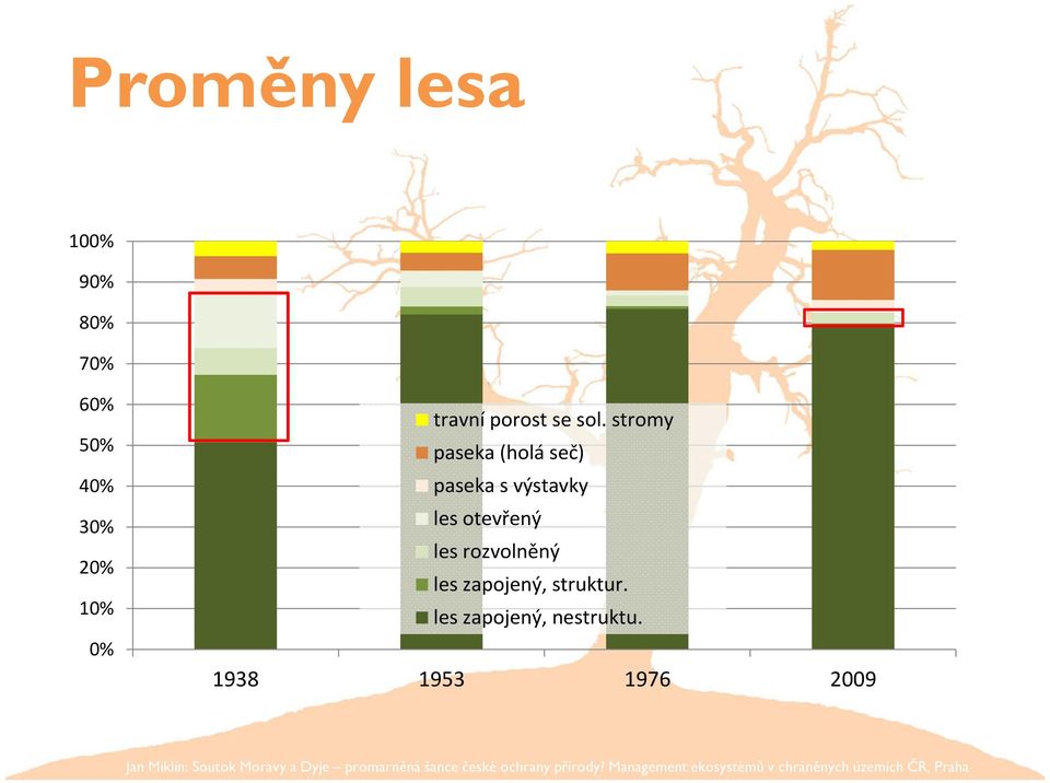 stromy paseka (holá seč) paseka s výstavky les