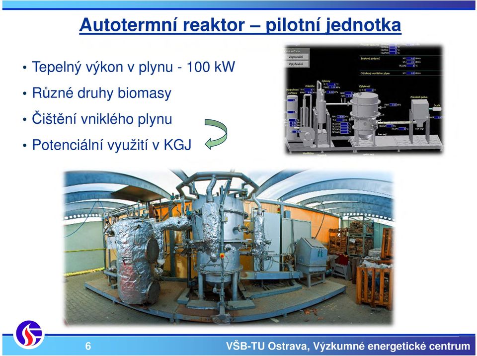 100 kw Různé druhy biomasy Čištění