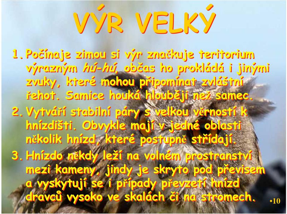 zvláštní řehot. Samice houká hlouběji než samec. 2.Vytváří stabilní páry s velkou věrností k hnízdišti.