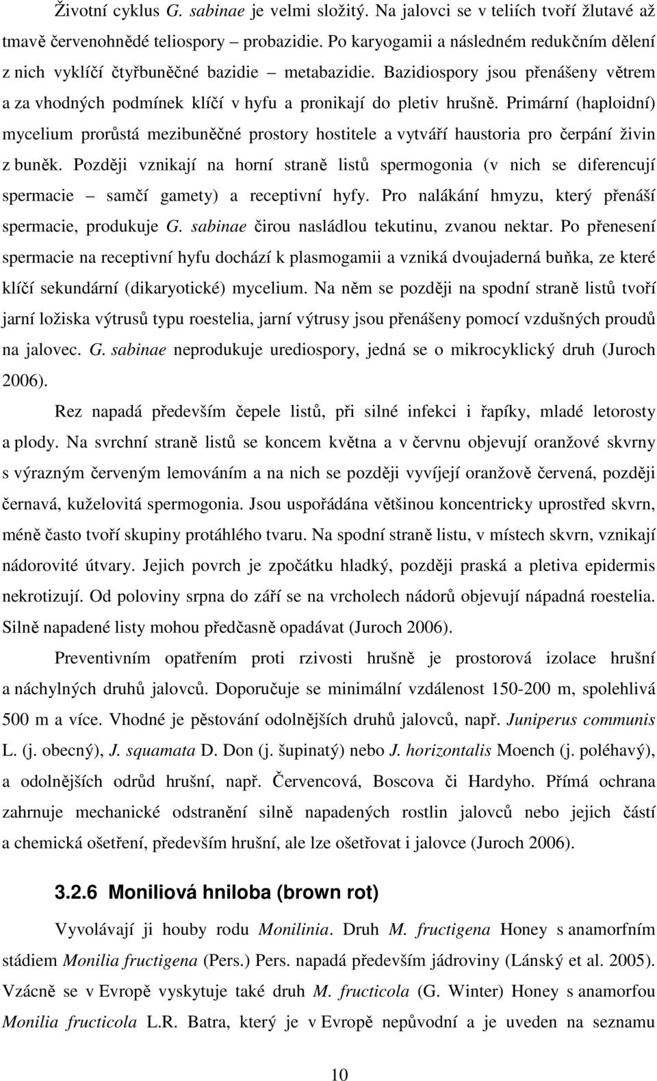 Primární (haploidní) mycelium prorůstá mezibuněčné prostory hostitele a vytváří haustoria pro čerpání živin z buněk.