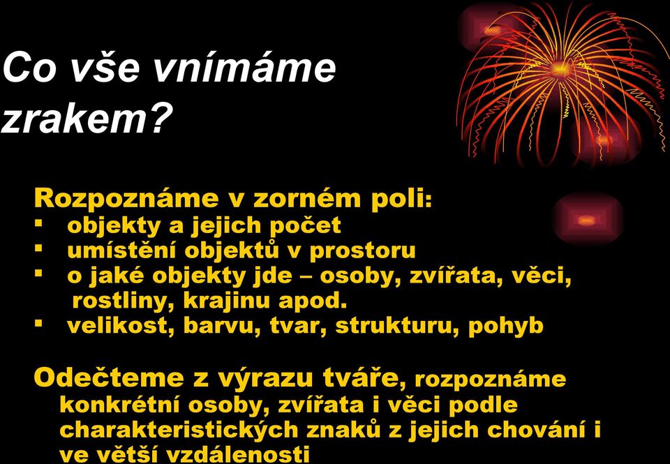 objekty jde osoby, zvířata, věci, rostliny, krajinu apod.