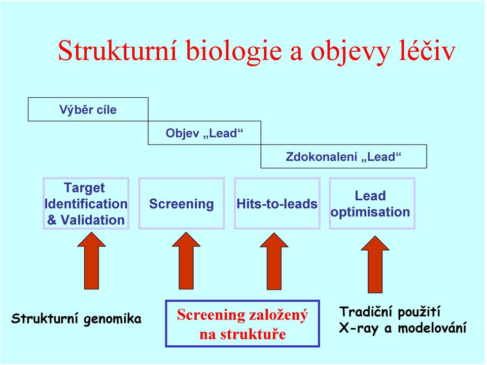 Screening Hits-to-leads Lead optimisation Strukturní