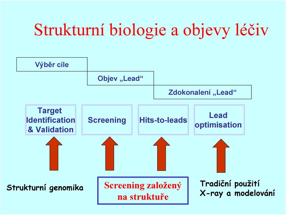 Screening Hits-to-leads Lead optimisation Strukturní