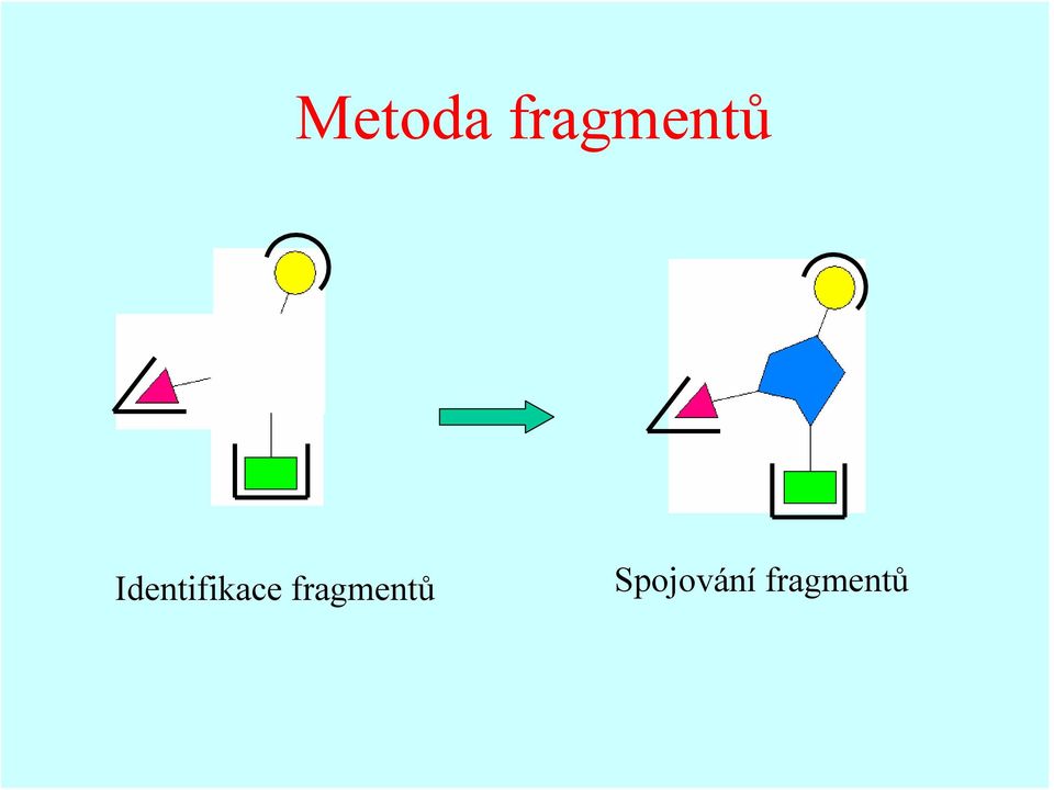 Identifikace 