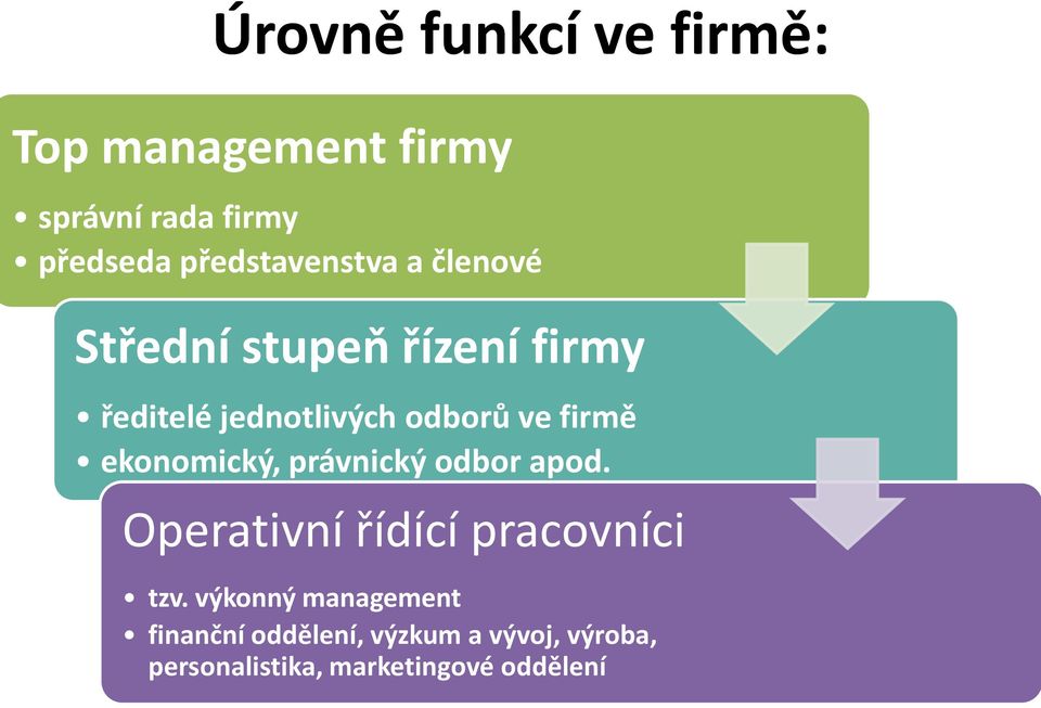 ve firmě ekonomický, právnický odbor apod. Operativní řídící pracovníci tzv.