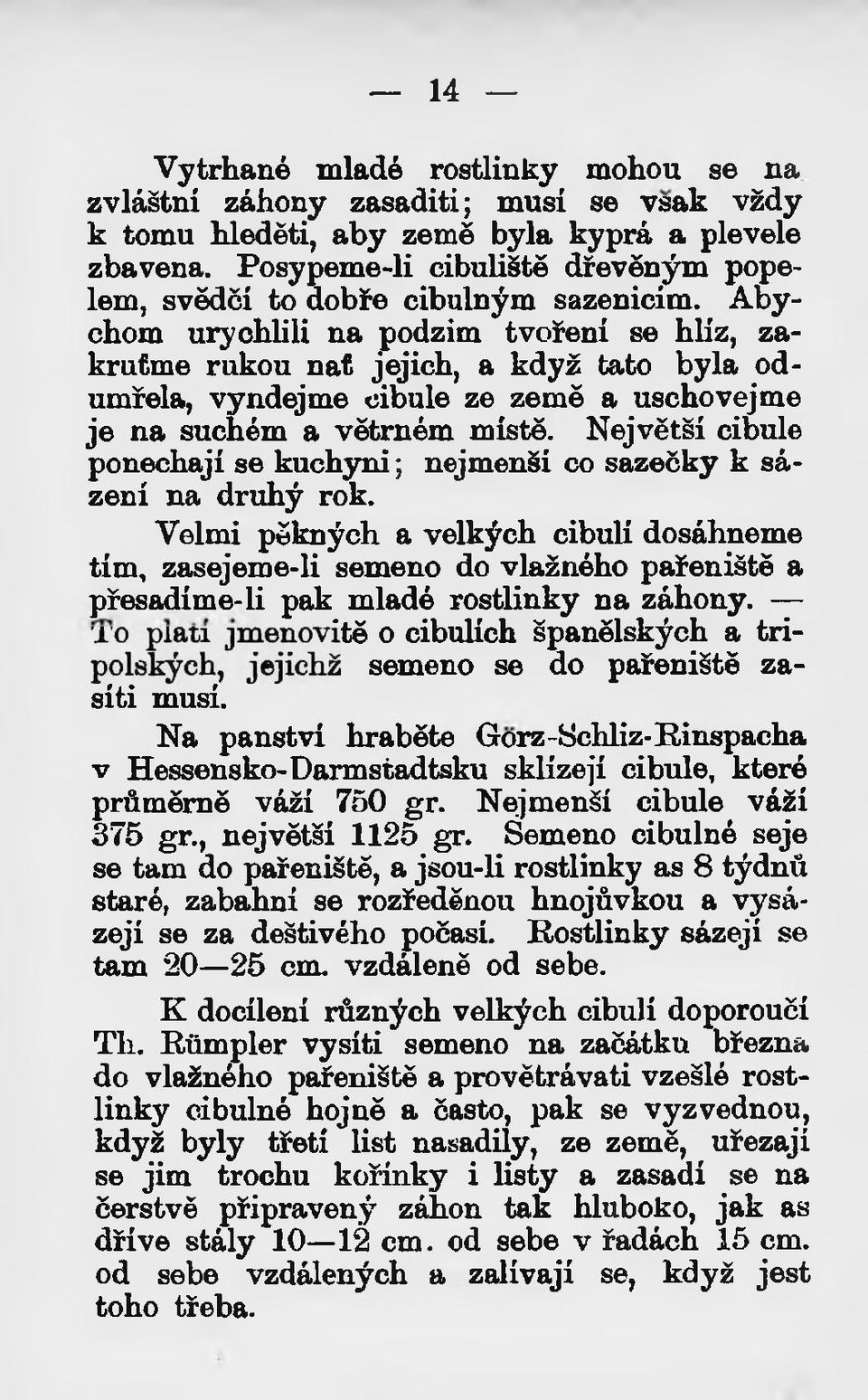 Abychom urychlili na podzim tvoření se hlíz, zakruťme rukou nať jejich, a když tato byla odumřela, vyndejme cibule ze země a uschovejme je na suchém a větrném místě.