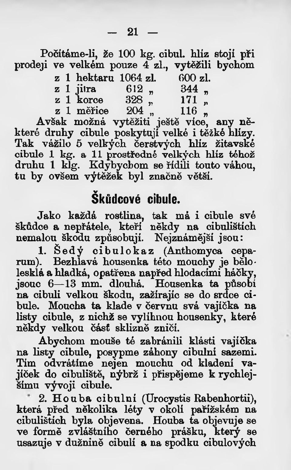 Tak vážilo 5 velkých čerstvých hlíz žitavské cibule 1 kg. a 11 prostředně velkých hlíz téhož druhu 1 klg. Kdybychom se řídili touto váhou, tu by ovšem výtěžek byl značně větší. Škfidcové cibule.