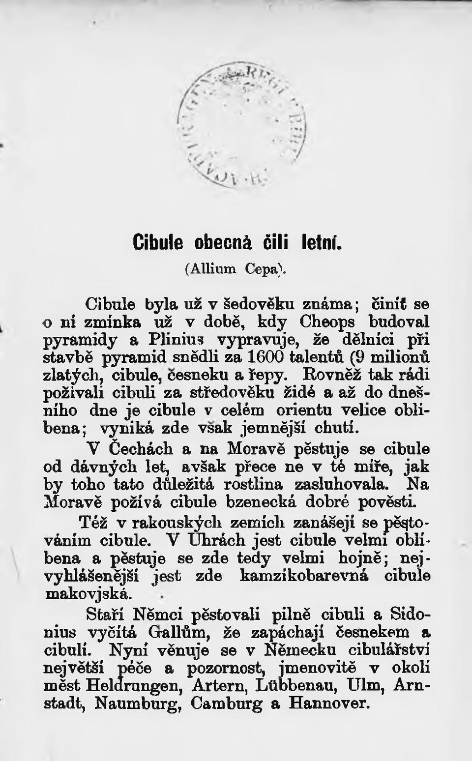 česneku a řepy. Rovněž tak rádi požívali cibuli za středověku židé a až do dnešního dne je cibule v celém orientu velice oblibena; vyniká zde vsak jemnější chutí.