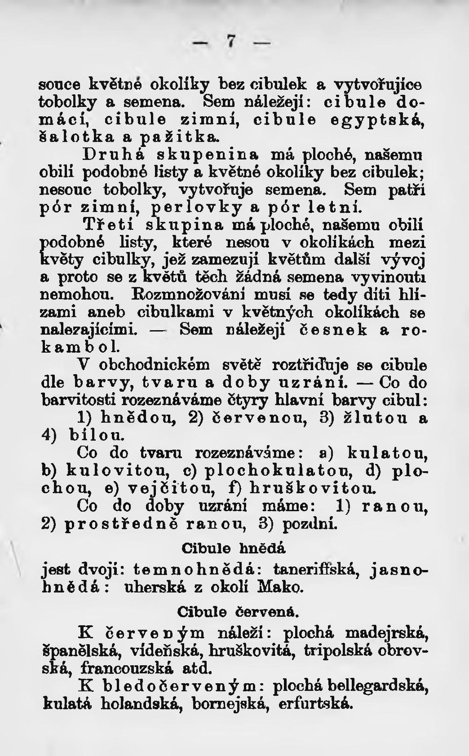 Třetí skupina má ploché, našemu obilí podobné listy, které nesou v okolíkách mezi květy cibulky, jež zamezují květům další vývoj a proto se z květů těch žádná semena vyvinouti nemohou.