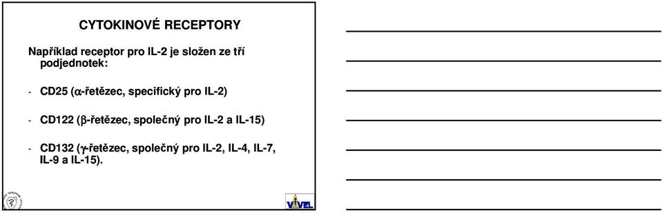pro IL-2) - CD122 (β-řetězec, společný pro IL-2 a IL-15)