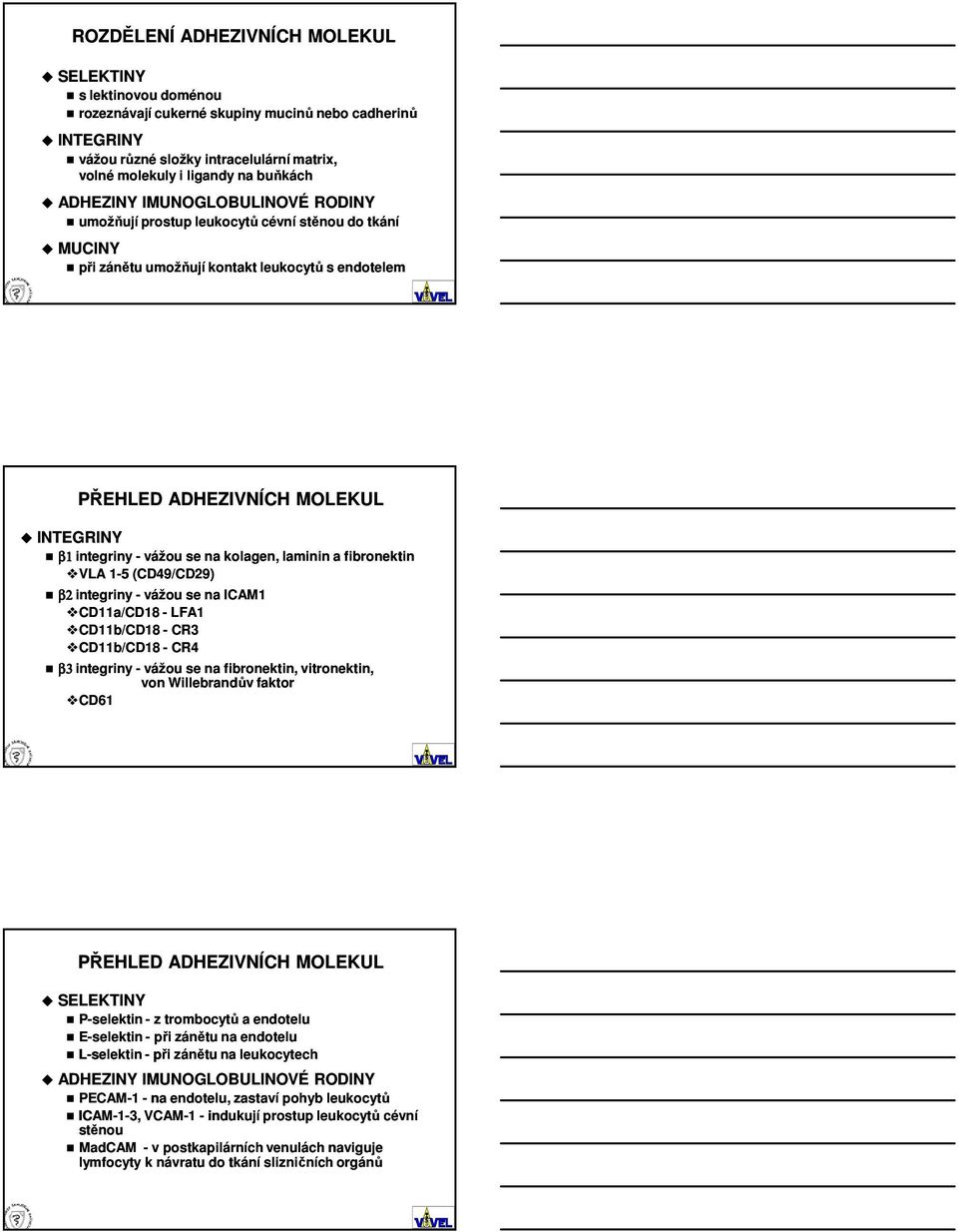 se na kolagen, laminin a fibronektin VLA 1-5 (CD49/CD29) β2 integriny - vážou se na ICAM1 CD11a/CD18 - LFA1 CD11b/CD18 - CR3 CD11b/CD18 - CR4 β3 integriny - vážou se na fibronektin, vitronektin, von