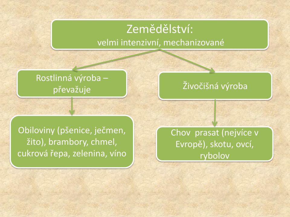 ječmen, žito), brambory, chmel, cukrová řepa, zelenina,