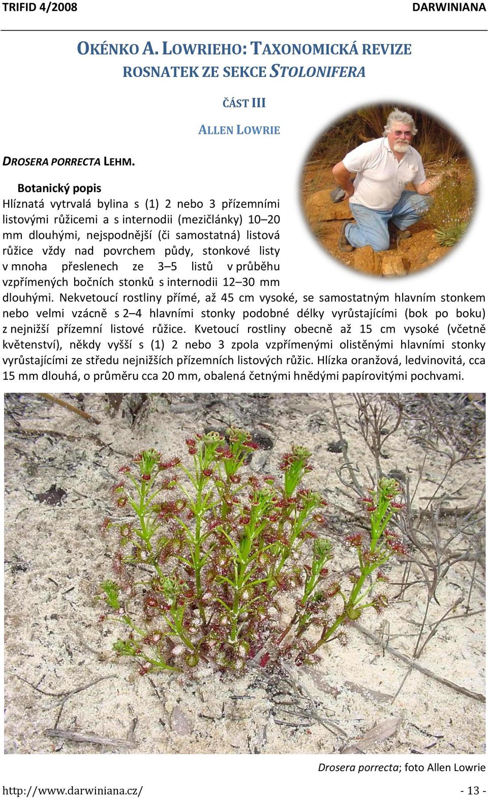 20 mm dlouhými, nejspodnější (či samostatná) listová růžice vždy nad povrchem půdy, stonkové listy v mnoha přeslenech ze 3 5 listů v průběhu vzpřímených bočních stonků s internodii 12 30 mm dlouhými.