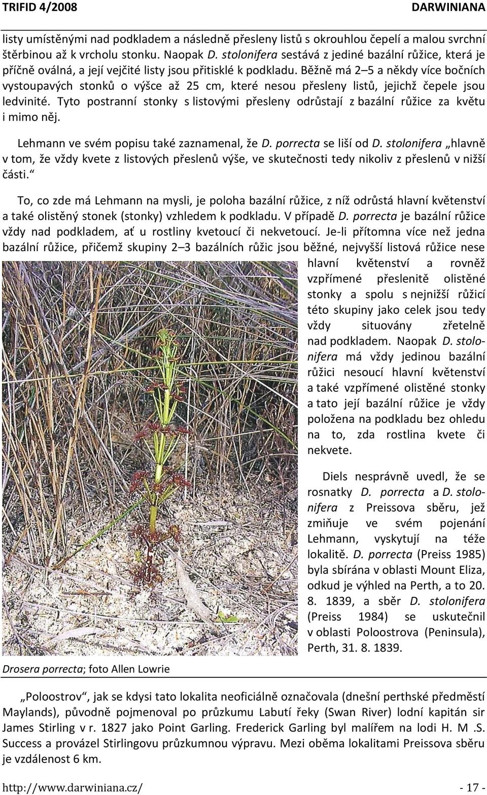 Běžně má 2 5 a někdy více bočních vystoupavých stonků o výšce až 25 cm, které nesou přesleny listů, jejichž čepele jsou ledvinité.