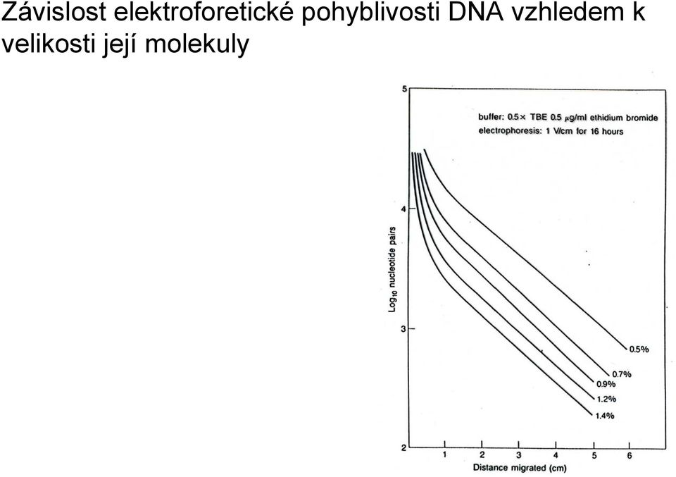 pohyblivosti DNA